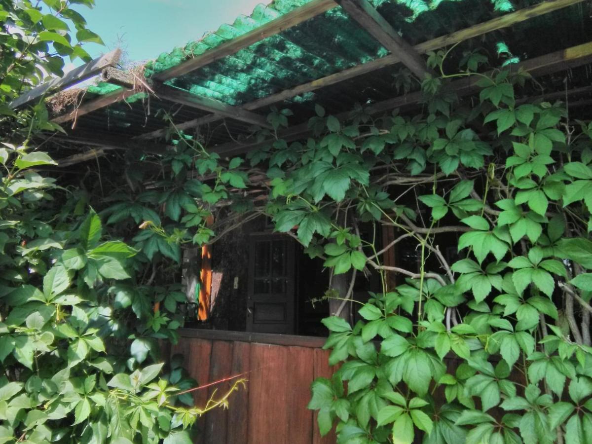 casa paltin cabane Poiana Stampei Exterior foto